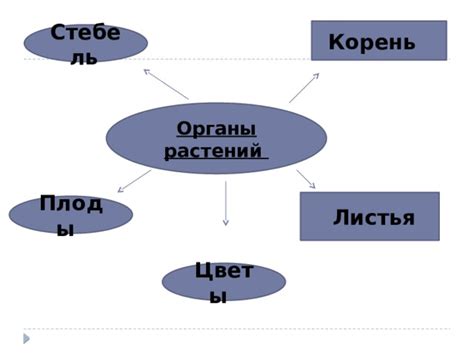 Что такое низшие товары?