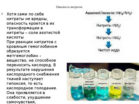 Что такое нитраты и как они воздействуют на организм