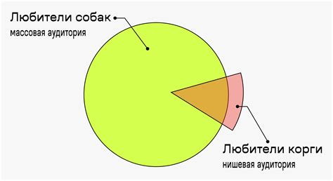 Что такое нишевая аудитория?