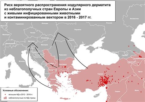 Что такое нодулярный и как это влияет на организм?