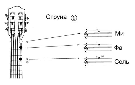 Что такое ноты для гитары?