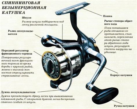 Что такое нхнч рыболовные: основные понятия и определение