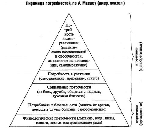 Что такое обществознание 6 класс кратко?