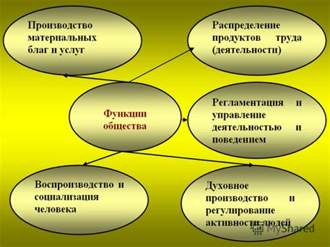 Что такое общество саморазвивающаяся система: очерк и основные принципы