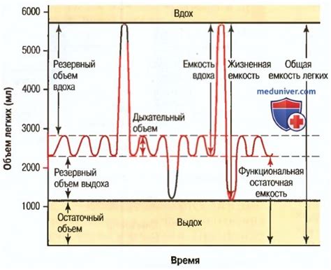 Что такое объем легких?