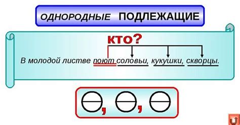 Что такое однородные подлежащие