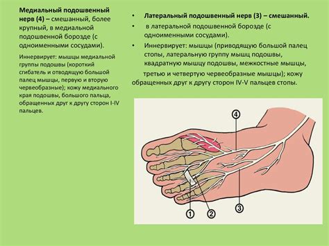 Что такое онемение стопы?