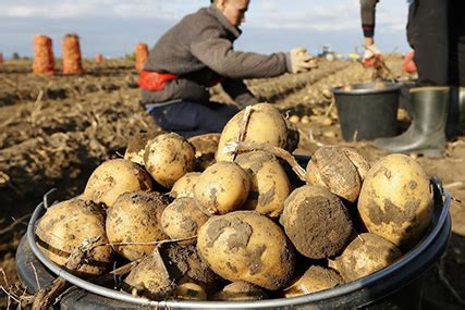 Что такое оплачиваемые письма и для чего они нужны?