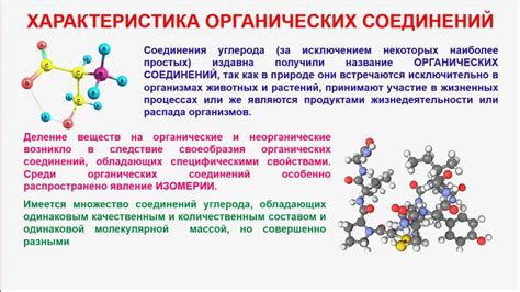 Что такое органическая часть?