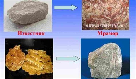 Что такое органические минералы?