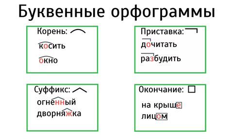 Что такое орфограммы?