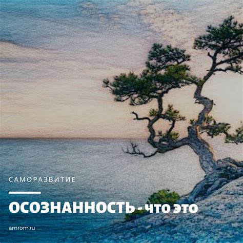 Что такое осознанность: определение, применение, важность