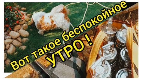 Что такое отнялась нога?