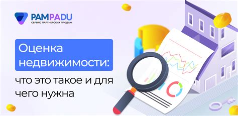 Что такое оценка НПА и как она влияет на бизнес?