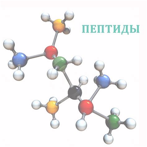 Что такое пептид?