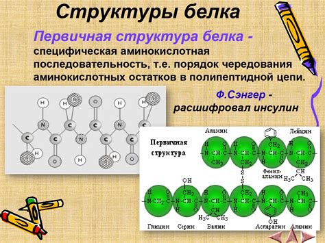 Что такое первичная основа и каково ее значение?