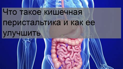 Что такое плохая перистальтика кишечника