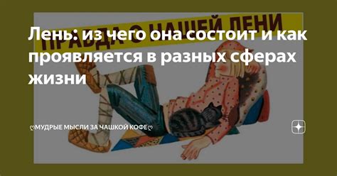 Что такое подстилка и зачем она нужна в разных сферах жизни