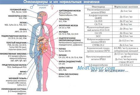 Что такое положительный онкомаркер