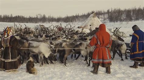 Что такое полые коренные породы и как ими заботиться