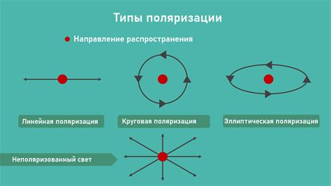 Что такое поляризация в контексте помощи мне?