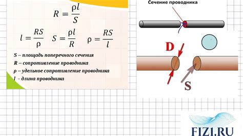 Что такое поперечное деление