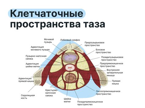 Что такое поперечный распил и его назначение