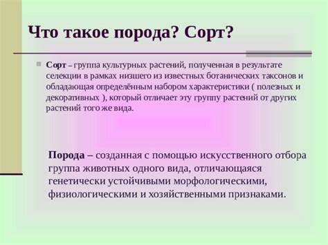 Что такое порода сорт?