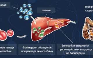 Что такое превышение билирубина?