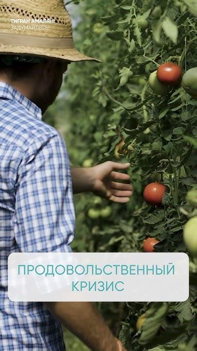 Что такое продовольственный кризис?