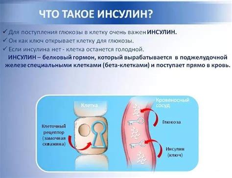 Что такое простой инсулин и как он воздействует на организм?