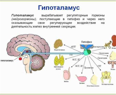 Что такое противопоставление образа?