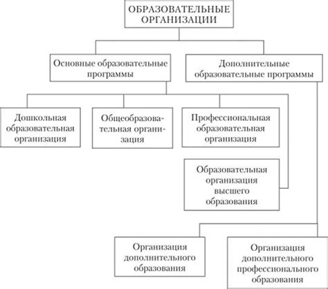 Что такое профессиональная образовательная организация?