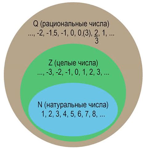 Что такое рациональные числа корни?