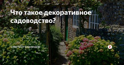 Что такое садоводство и какое значение оно имеет?