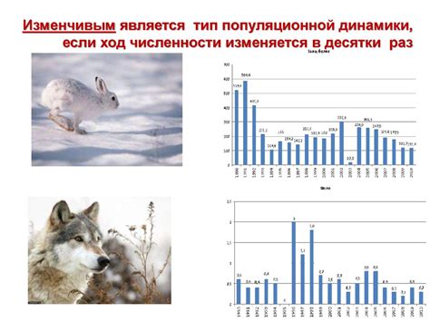 Что такое саморегуляция численности популяций?