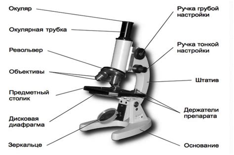 Что такое световая микроскопия?