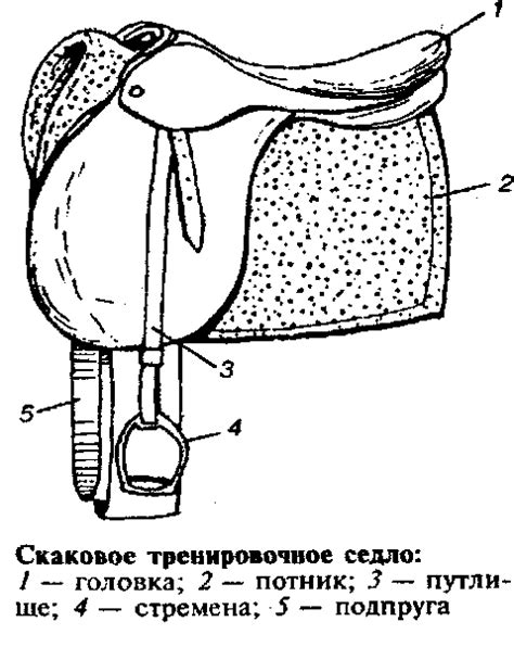 Что такое седло тертое?