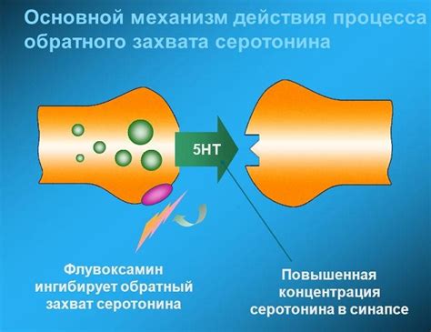 Что такое селективные ингибиторы обратного захвата серотонина?