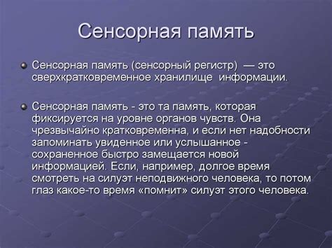 Что такое сенсорная функция: определение и примеры