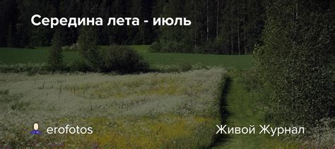 Что такое середина лета?