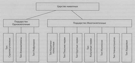 Что такое систематический признак?