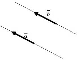 Что такое совпадающие вектора?