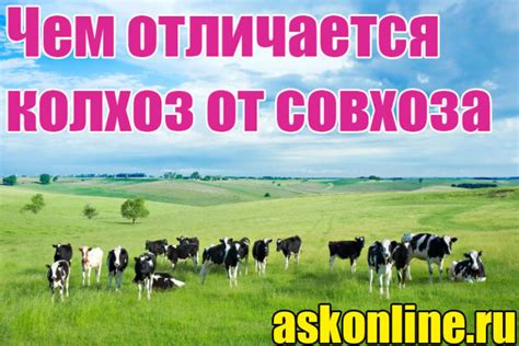 Что такое совхоз?