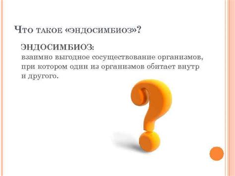 Что такое сосуществование?