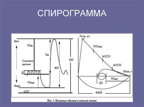 Что такое спирометрия жел