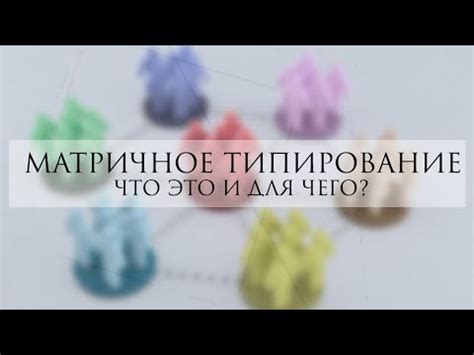 Что такое типирование человека