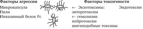 Что такое типичные эшерихии и их значение