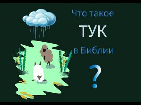 Что такое тук покрывающий внутренности