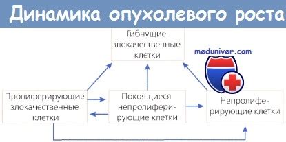 Что такое умеренная положительная динамика?